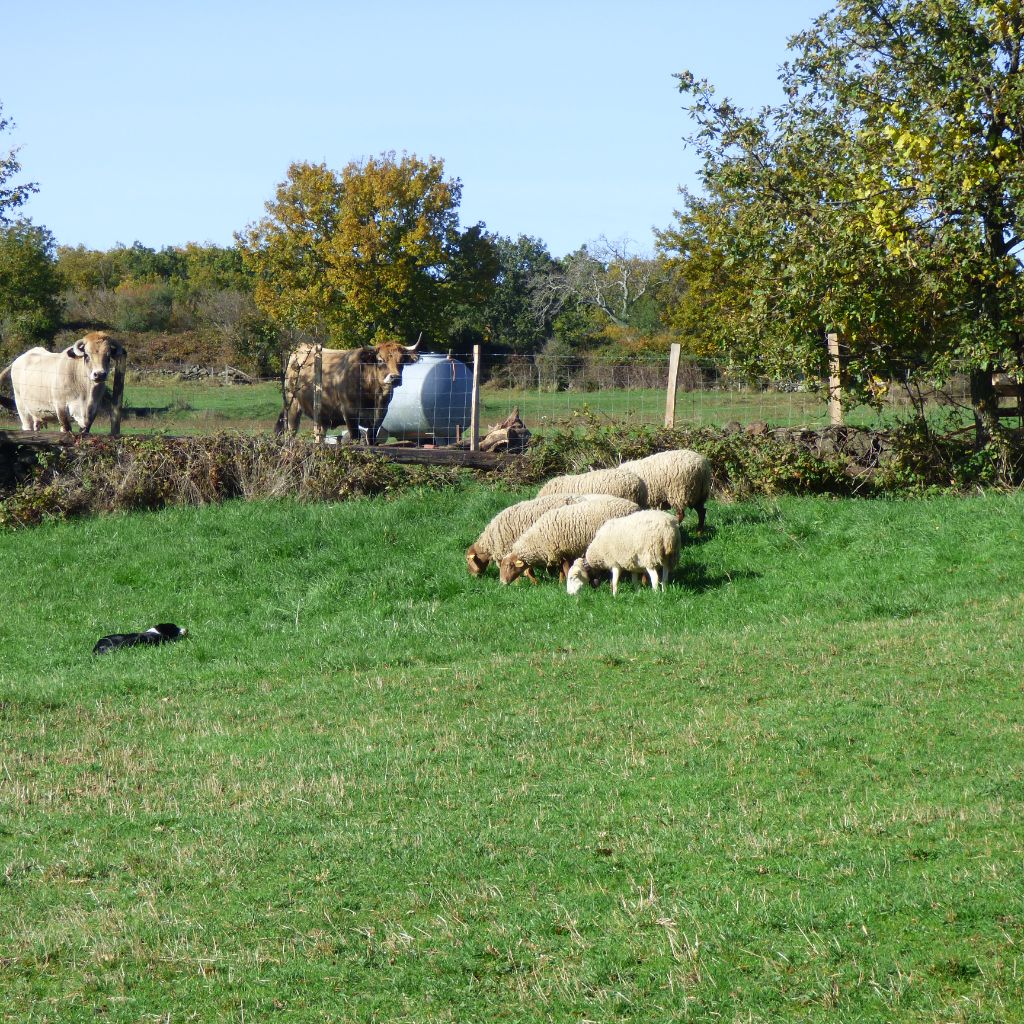 Ream Du Val De Cassel